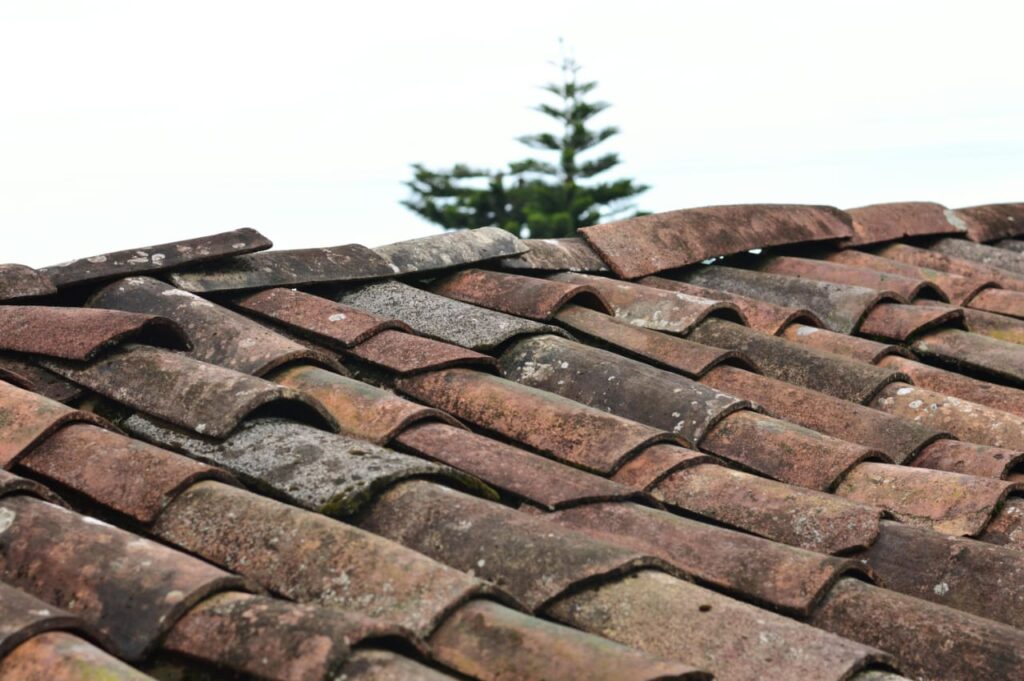 clay and cincrete roof